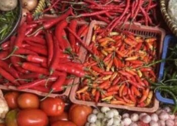 Harga Pangan Turun, Beras dan Cabai Murah