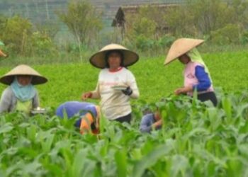 Hilirisasi Pertanian Jadikan Indonesia Superpower