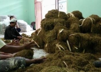 Pemkab Sumenep Tegas Soal Izin  Siap Tindak Gudang Tembakau Nakal