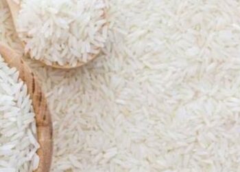 Pemerintah Kunci Lewat Beras Satu Harga Jadi Strategi Kendali Subsidi