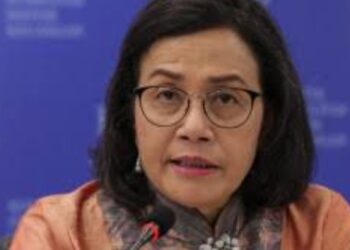 Sri Mulyani Minta Danantara Bantu Beban Berat APBN, Swasta Diminta Ikut Andil