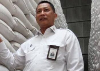 DPR Temukan Beras Impor Busuk di Bulog