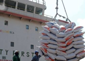 Produksi Naik, RI Stop Impor Beras