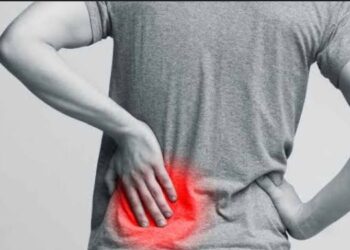 Air Herbal Rebusan untuk Ginjal Sehat Alternatif Alamiah yang Terbukti