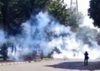 UI mengeluarkan surat edaran WFH untuk sivitas akademika.