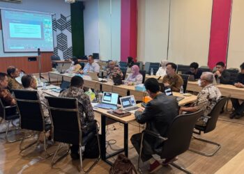 Pakar Soroti Desentralisasi dan Otonomi Daerah Indonesia