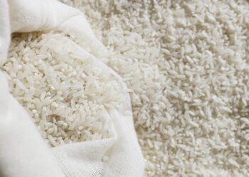 Harga Beras Naik, Titiek Soeharto Tegaskan: Bukan Tupoksi Kementan