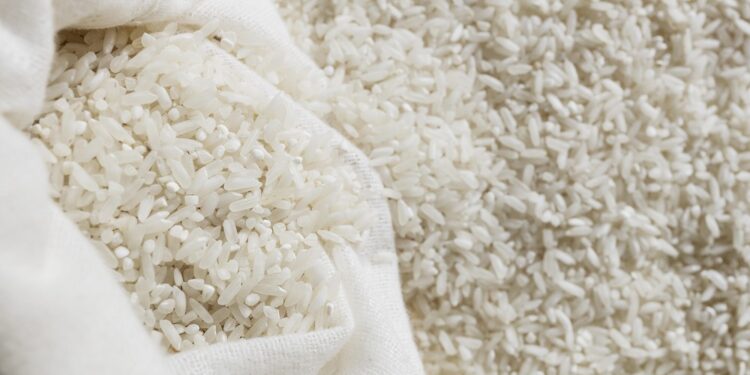 Harga Beras Naik, Titiek Soeharto Tegaskan: Bukan Tupoksi Kementan