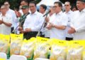 Pemerintah Salurkan 43 Ribu Ton Beras Murah