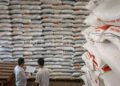 Puluhan Daerah di Indonesia Tak Miliki Cadangan Beras, Pangan Terancam