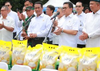 Pemerintah Salurkan 43 Ribu Ton Beras Murah