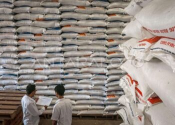 Puluhan Daerah di Indonesia Tak Miliki Cadangan Beras, Pangan Terancam