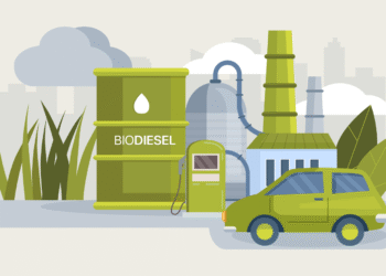 Indonesia Bangun Pabrik Biodiesel di Merauke, Ditargetkan Beroperasi Tahun 2027