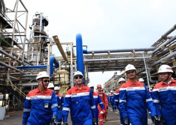 Pertamina Kembangkan Energi Hijau Lewat Jejak Keberlanjutan