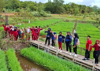 Pertamina Dukung Generasi Muda lewat PFmuda 2025