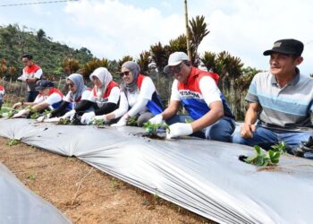 Top! Pertamina Resmikan Desa Energi Berdikari di Sumatera Selatan