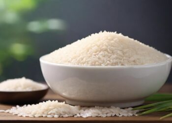 Gonjang-ganjing Kasus Beras: Penggilingan Padi Setop Produksi