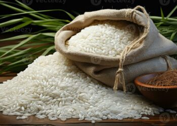 Vietnam Geser Thailand, Jadi Eksportir Beras Nomor Dua Dunia di Paruh Pertama 2025