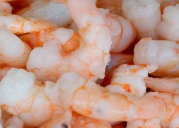 Ada Zat Radioaktif di Udang Beku Asal RI, Ahli Ungkap Sumbernya