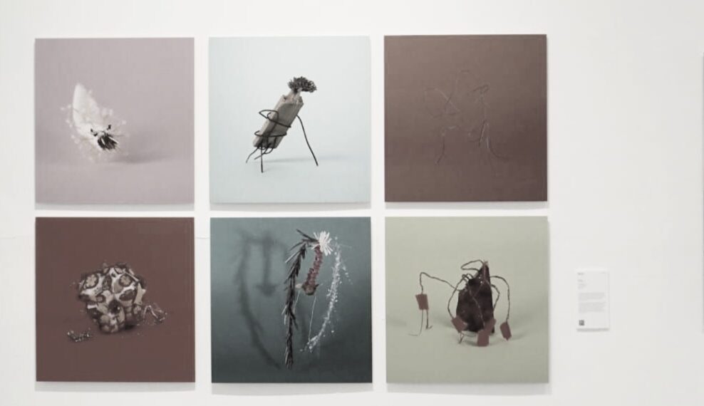 Bandung Photography Triennale 2025: Menggali Visi Sintetis