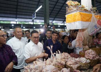 Tinjau Pasar Nyanggelan di Denpasar, Mendag Pastikan Harga dan Pasokan Bapok Terkendali