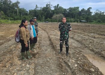 Optimalkan Program Hanpangan, Dandim 1710/Mimika Gandeng PPL dan Kelompok Petani Dalam Pemanfaatan Lahan Tidur Menjadi Lahan Produktif