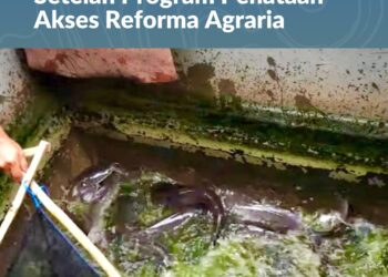 Mengenal Desa Rejoagung, Potensi Desa Meningkat Setelah Program Penataan Akses Reforma Agraria*