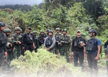 Satgas Gabungan Pamtas RI-PNG Ungkap Empat Kebun Ganja di Pegunungan Bintang, Papua
