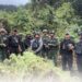 Satgas Gabungan Pamtas RI-PNG Ungkap Empat Kebun Ganja di Pegunungan Bintang, Papua