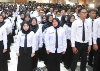 Pemerintah Rekrutmen PPPK Paruh Waktu 2025 Resmi di Buka,