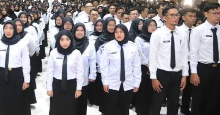 Pemerintah Rekrutmen PPPK Paruh Waktu 2025 Resmi di Buka,