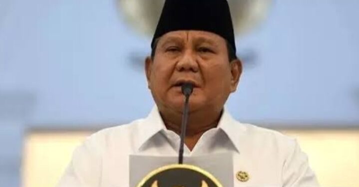 Prabowo Dorong BUMN SDA Lebih Kuat