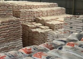 Ombudsman: Kerugian Rp7 Triliun Mengintai  Cadangan Beras Bulog Berisiko Membusuk