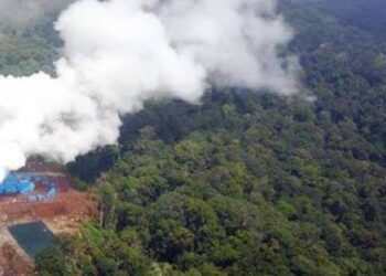 Bioenergi Dorong Indonesia Menuju Energi Hijau