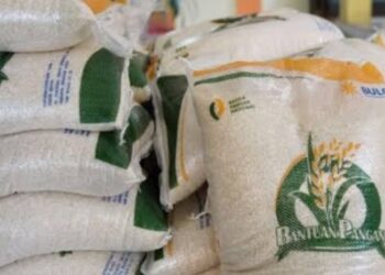 Pemerintah Pastikan Bantuan Pangan Beras Berlanjut