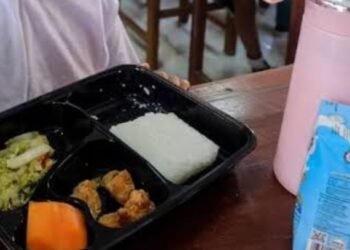 Mulai 2026 Guru dan Relawan Posyandu Terima Makan Gratis dari Pemerintah