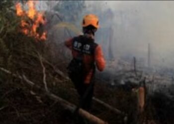 12 Korporasi Diawasi Kemenhut karena Karhutla