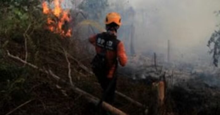 12 Korporasi Diawasi Kemenhut karena Karhutla