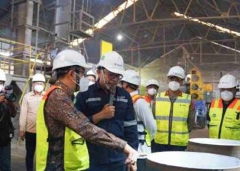 Mendiktisaintek Dorong PT Timah Garap Tanah Jarang