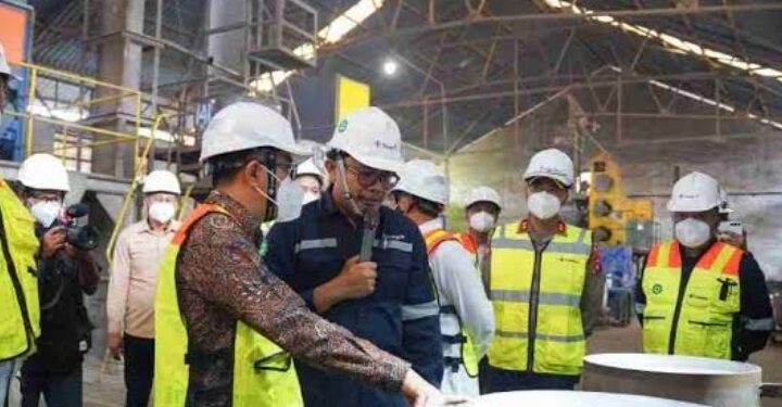 Mendiktisaintek Dorong PT Timah Garap Tanah Jarang