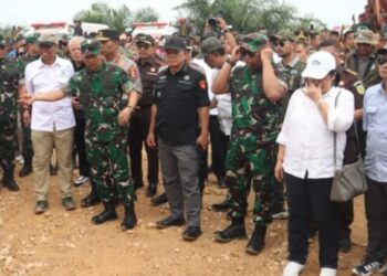 Satgas PKH Bongkar 9 Perusahaan Sawit HTI Tesso Nilo  Serobot 32 ribu Hektare