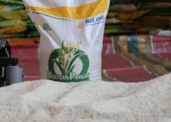 Pemerintah Bagikan Beras dan Minyak Goreng Gratis di Bulan Oktober