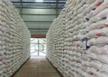 Bapanas Ingatkan Mutu Beras di Gudang Bulog Harus Cepat Dikeluarkan