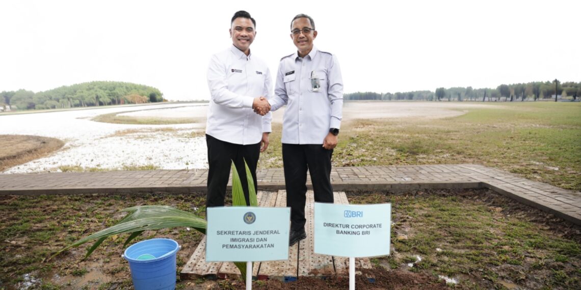 BRI Dukung Ketahanan Pangan dengan Penanaman Kelapa