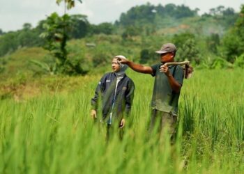 BRI Salurkan KUR Rp50,95 Triliun untuk Dongkrak Sektor Pertanian