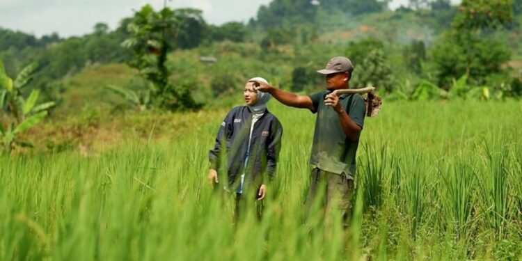 BRI Salurkan KUR Rp50,95 Triliun untuk Dongkrak Sektor Pertanian