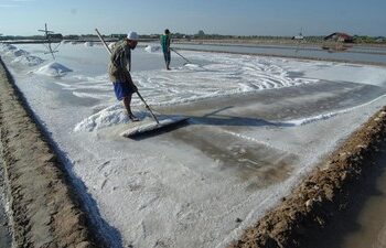 PT Garam Perkuat Infrastruktur Demi Program Swasembada Garam