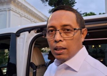 Istana Respons PBB soal Demo di Indonesia