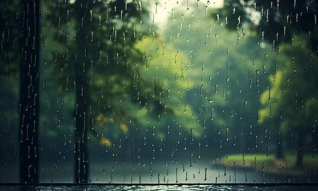 Lima Langkah Efektif Jaga Kesehatan di Tengah Musim Hujan