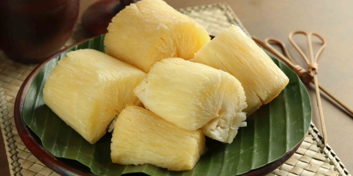 Tiga Kombinasi Makanan yang Perlu Dihindari dengan Singkong Rebus